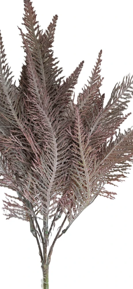 Kapradí 44 cm X7, šedá/vínová