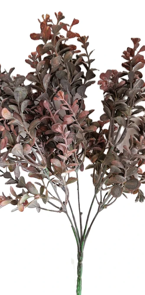 Eukalyptus 34 cm, šedá/vínová