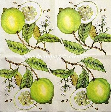 Citrony na větvičce, béžový podklad