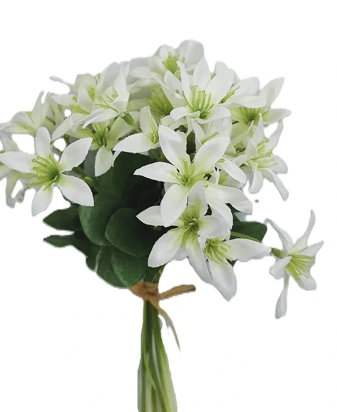 Jaterník 20 cm svazek 10 ks, bílá