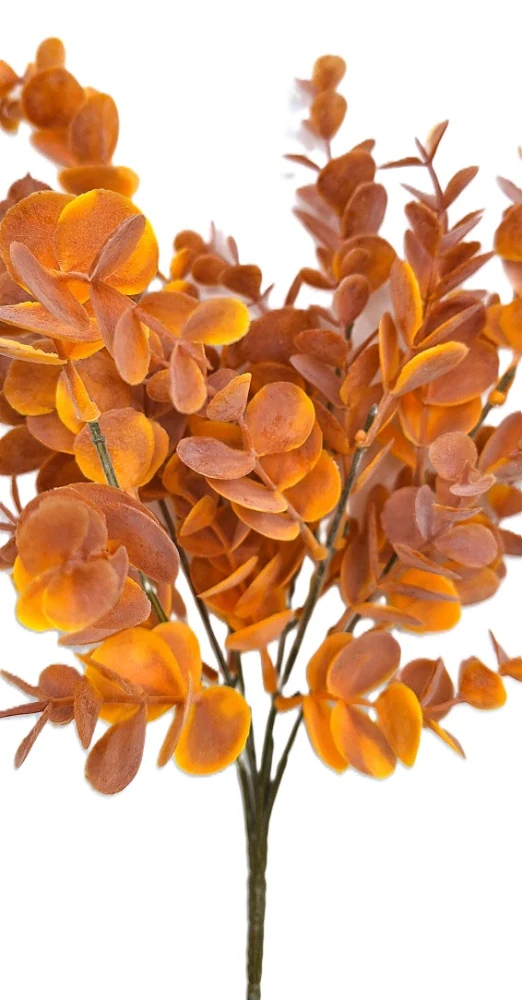 Eukalyptus 36 cm, oranžová