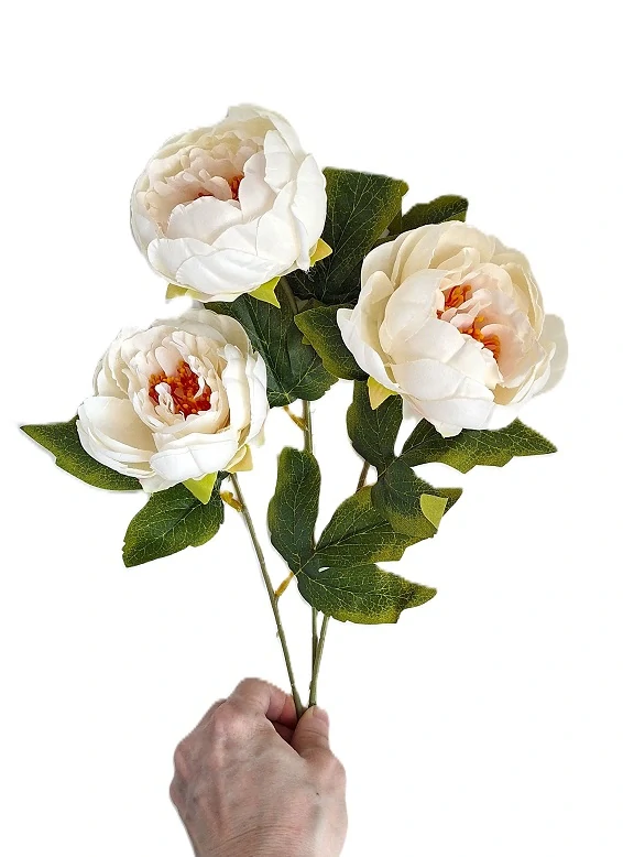 Pivoňka 53 cm, krémová