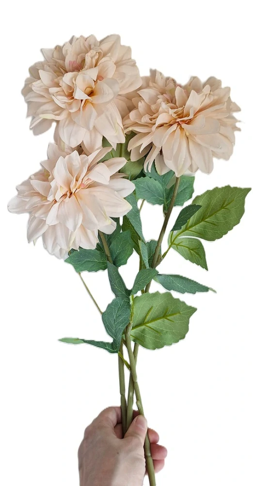 Jiřina 67 cm list zelená, květ krémová