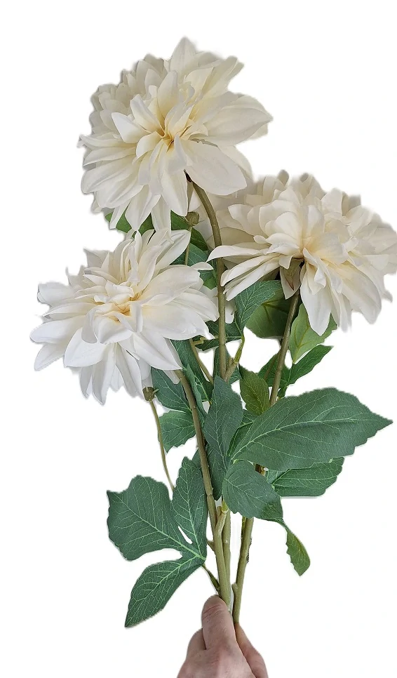 Jiřina 67 cm list zelená, květ bílá