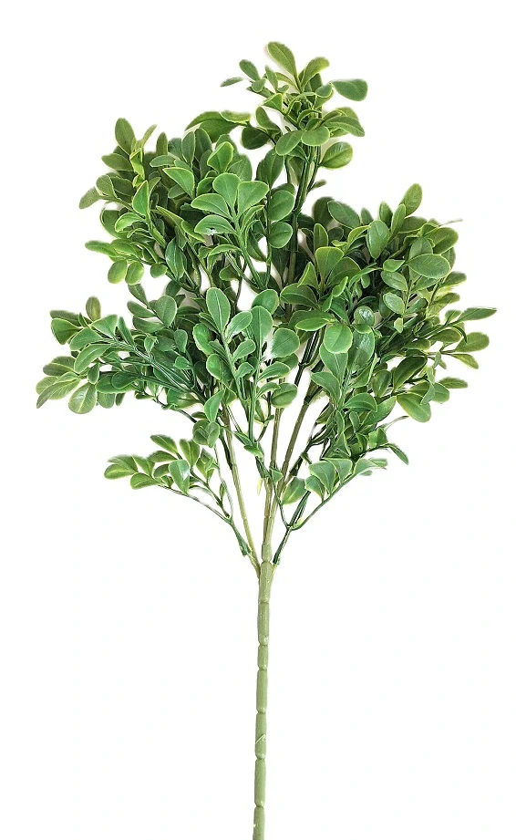 Borůvčí keřík 43 cm, zelená