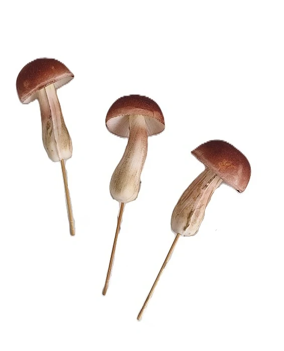 Hříbek 8 cm (PS)
