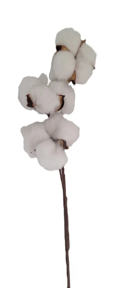 Bavlna větev 40 cm X3