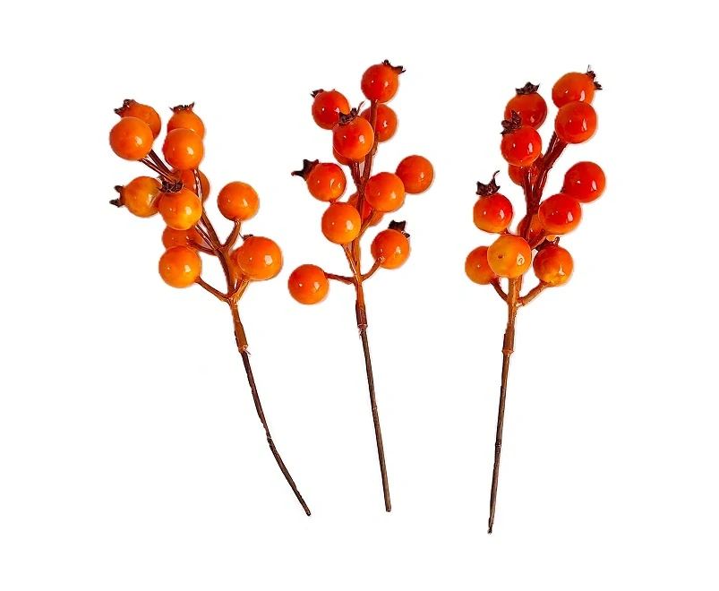 Rakytník 20 cm bobule, oranžová (CC)