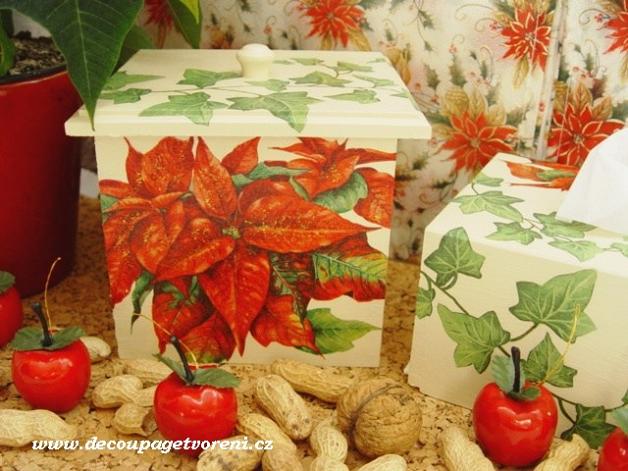 Vánoční hvězda, květ