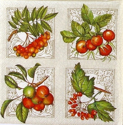 Amfóra, Lesní plody a ptáci