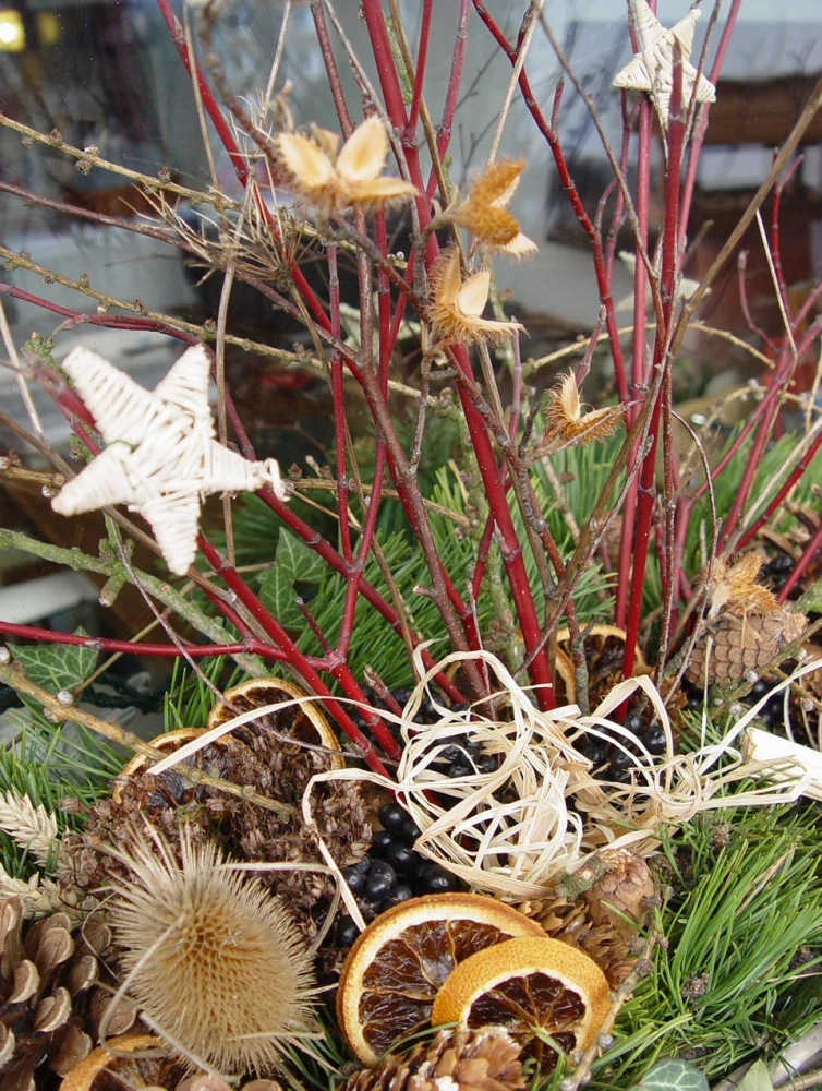 Skořápka bukvice, 50 g