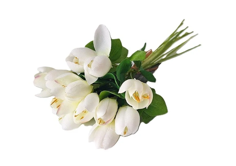Krokusy 20 cm svazek 10 ks, bílá