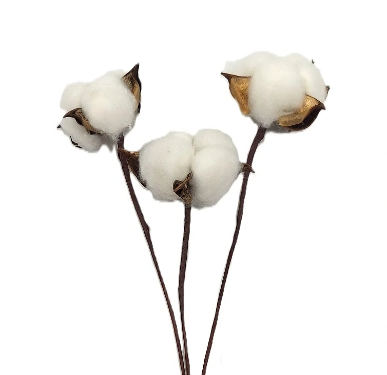 Bavlna 20 cm na stonku, 3 ks