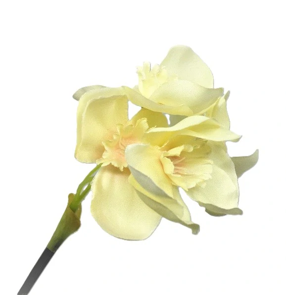 Narcis 40 cm (12 květů) krémová, 3 ks
