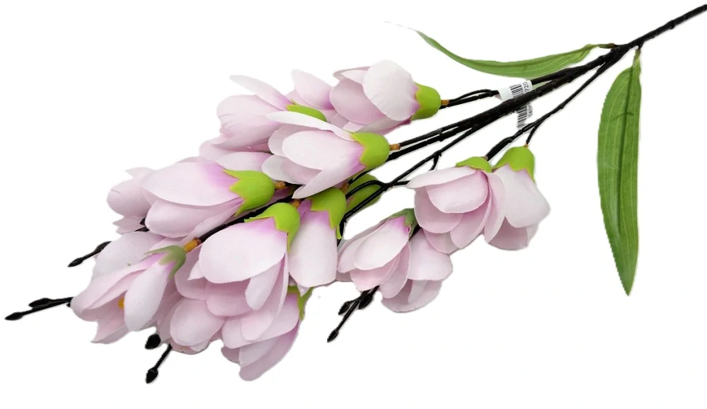 Magnolie 50 cm X20, růžová světlá