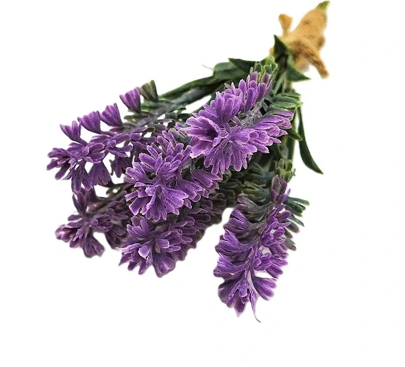 Levandule 23 cm, svazek 6 ks