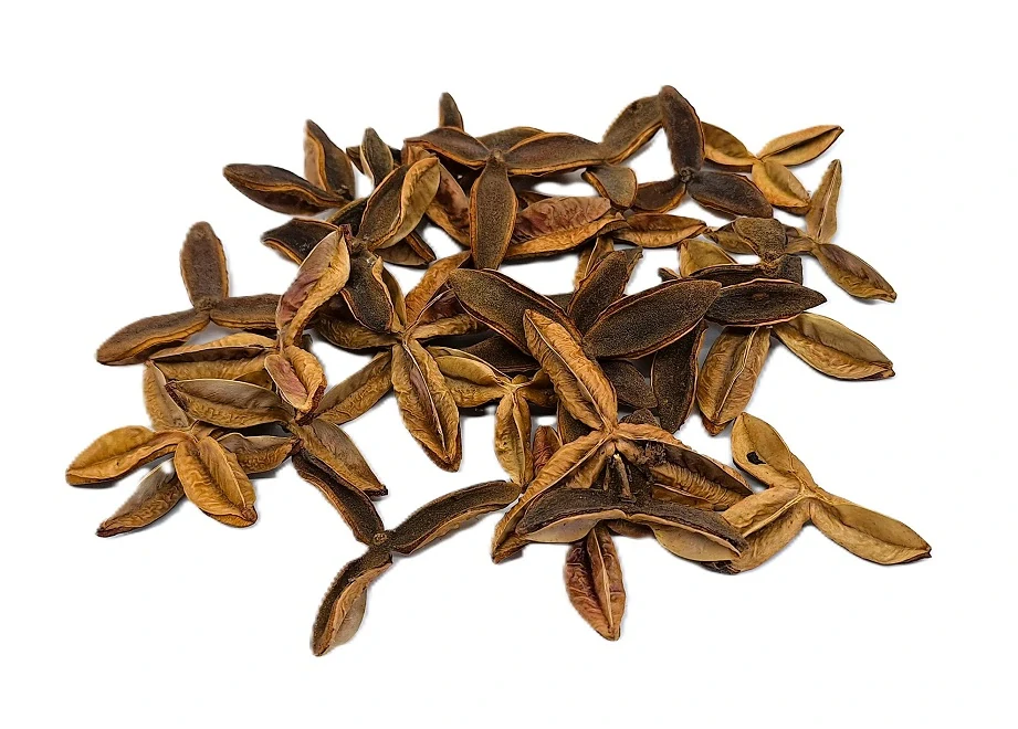 Terra Estrela 5 - 7 cm přírodní, 5 ks