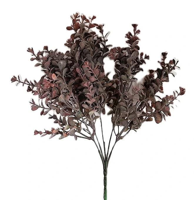 Eukalyptus 34 cm, šedá/vínová