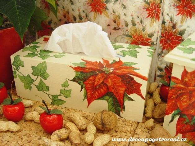 Vánoční hvězda, květ