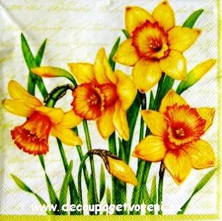 Obrázek 19 cm, Žluté narcisy s mašlí