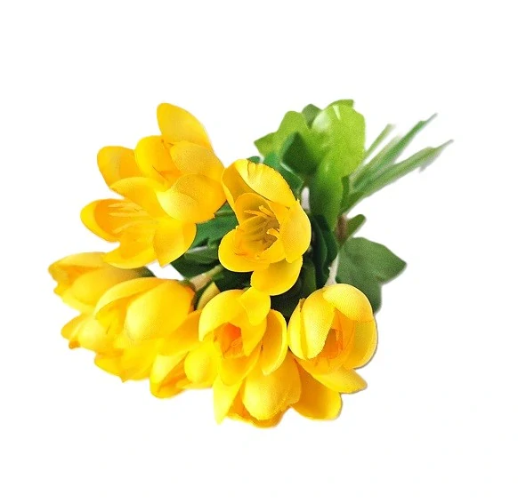 Krokusy 20 cm svazek 10 ks, žlutá