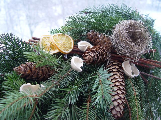 Šiška douglaska, 10 ks