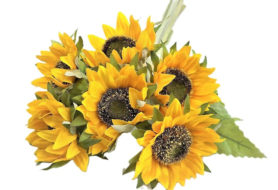 Slunečnice 28 cm/Ø 9 cm svazek 6 ks,  žlutá (5104)