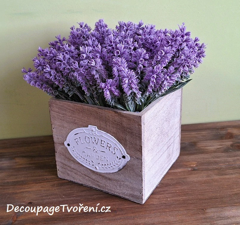 Levandule 23 cm, svazek 6 ks