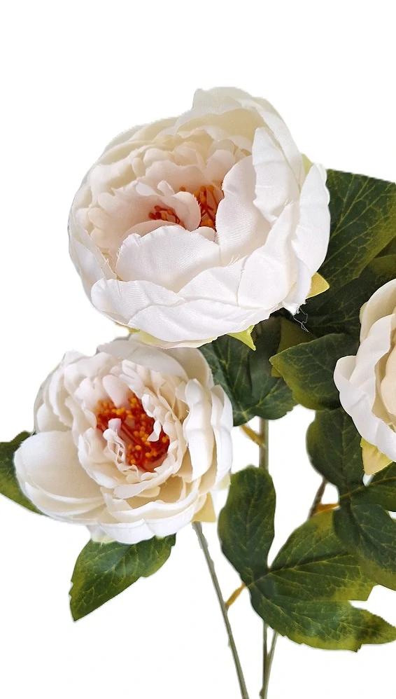 Pivoňka 53 cm, krémová