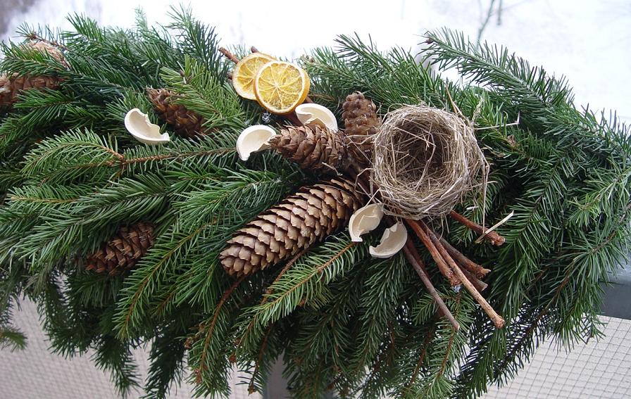 Šiška douglaska, 10 ks