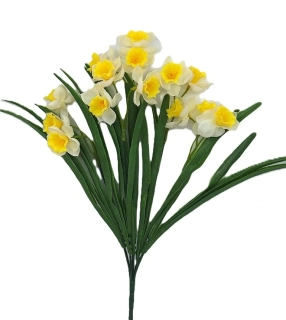 Narcis 39 cm mnohokvětý, bílá