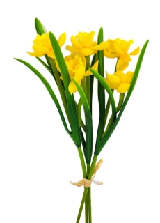 Narcis 31 cm žlutá květ/list, svazek 3 ks