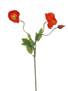 Vlčí mák 45 cm, květ červená