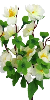 Větev 35 cm broskvoň, bílá