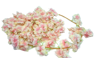 Girlanda 180 cm třešeň, krémová