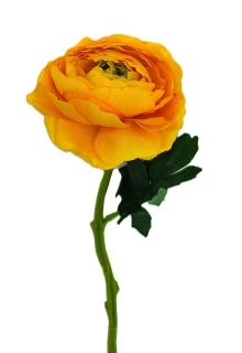 Ranunculus 32 cm, žlutá