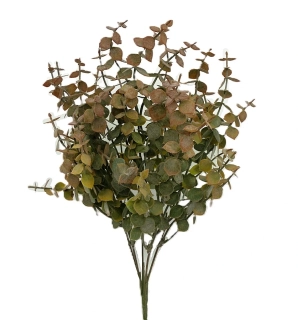 Borůvčí keřík 35 cm, hnědá