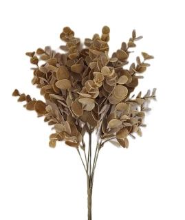 Eukalyptus 32 cm, latté X6