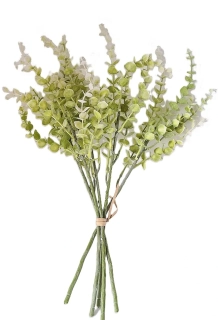 Eukalyptus 50 cm světle zelená/bílá, 5 ks