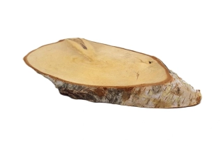Kulatina 27x12 cm, bříza (ovál)