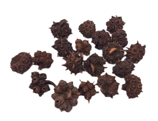 Spidergum Knobs mini přírodní, 3 ks