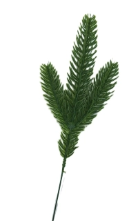 Chvojí jehličí smrk 24 cm T3