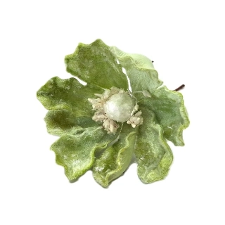 Čemeřice 15 cm pistáciová (třpytky)