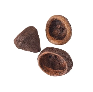 Chapeuzinho skořápka 5 - 6 cm, 1 ks