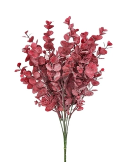 Eukalyptus 36 cm, karmínová