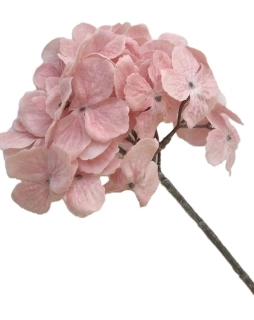 Hortenzie 48 cm, perleť růžová (zimní)
