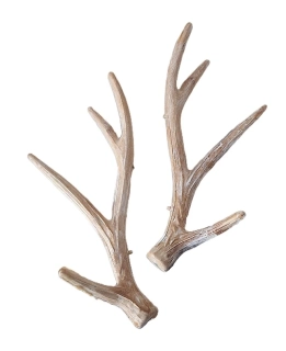 Parůžky 20 cm přírodní, 2 ks