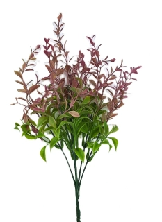 Listnatec 33 cm, zelená/fialová