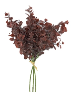 Eukalyptus 40 cm vínová, 3 ks (RS)