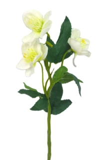 Čemeřice 37 cm 3 květy/listy, bílá